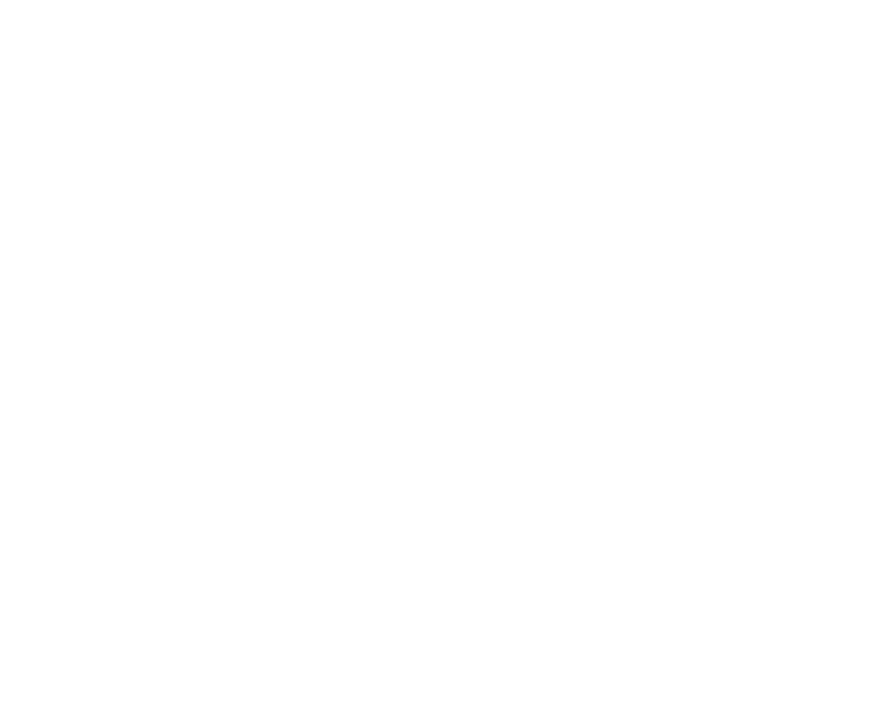 frontier-consulting-business-consultants